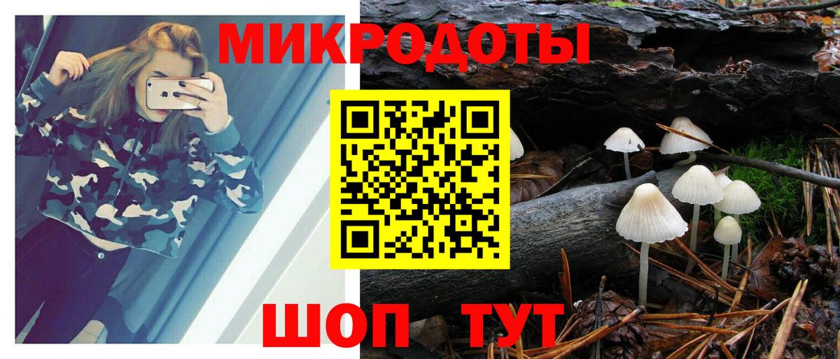 Галлюциногенные грибы прущие грибы Волхов